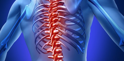 spine injury illustration